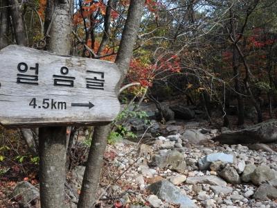 금수산 얼음골 등산로 표지판 썸네일 이미지