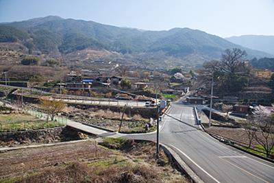 동매리 썸네일 이미지