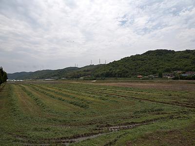 장암들 전경 썸네일 이미지