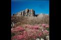 무등산 주상 절리대 봄 전경 썸네일 이미지
