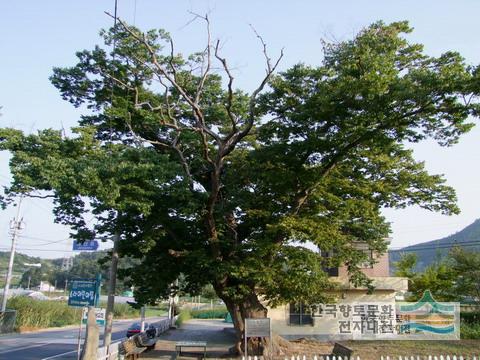 대표시청각 이미지