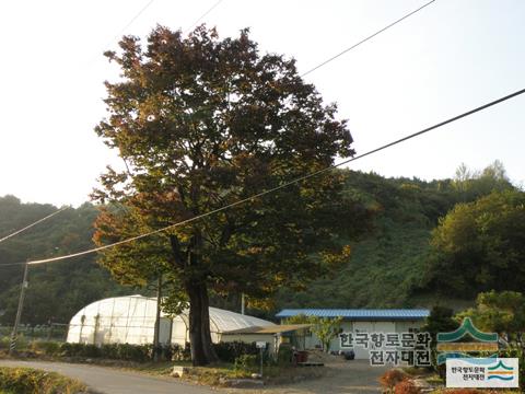 대표시청각 이미지