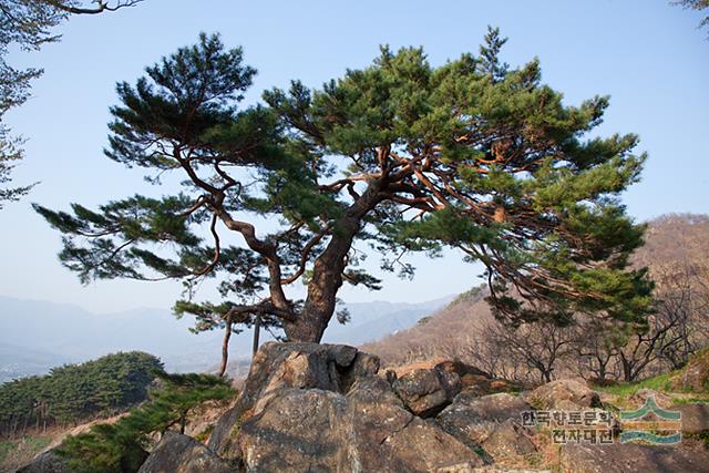 대표시청각 이미지