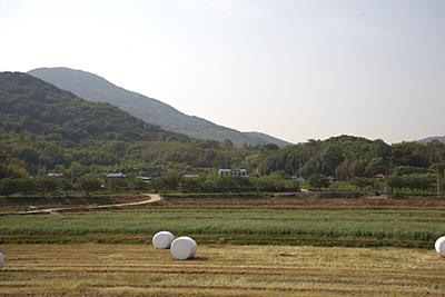 안계리 가종마을 썸네일 이미지