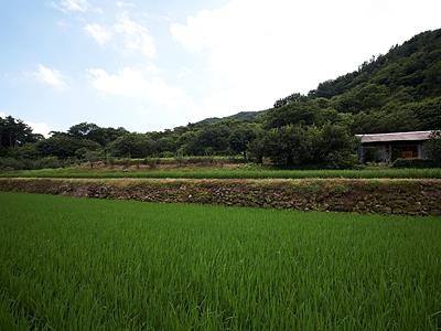 우계리 유물 산포지 전경 썸네일 이미지