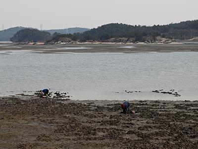 도성리 포구 썸네일 이미지