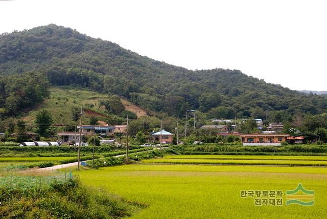 대표시청각 이미지