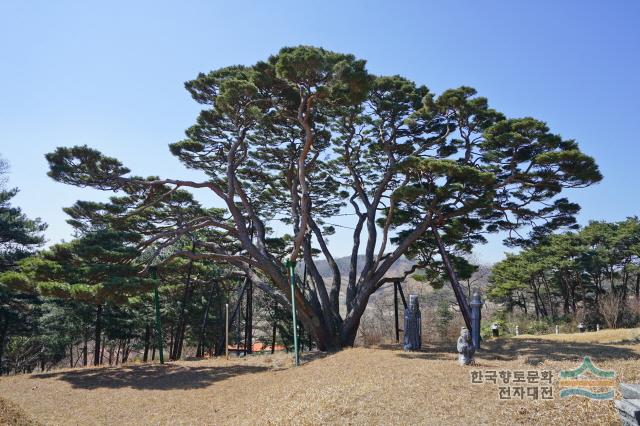 대표시청각 이미지