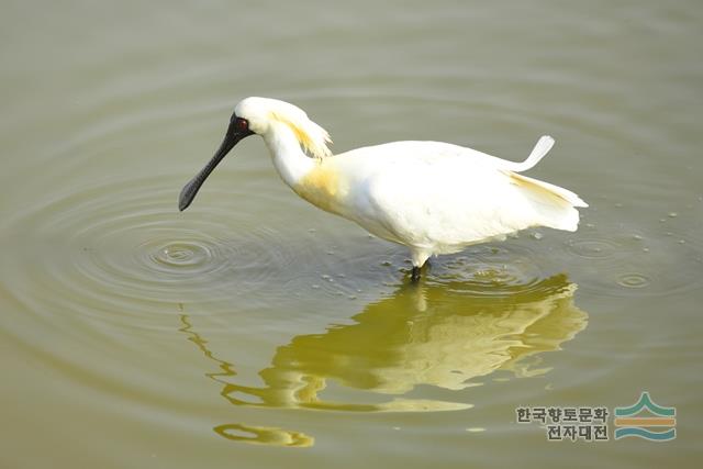 대표시청각 이미지