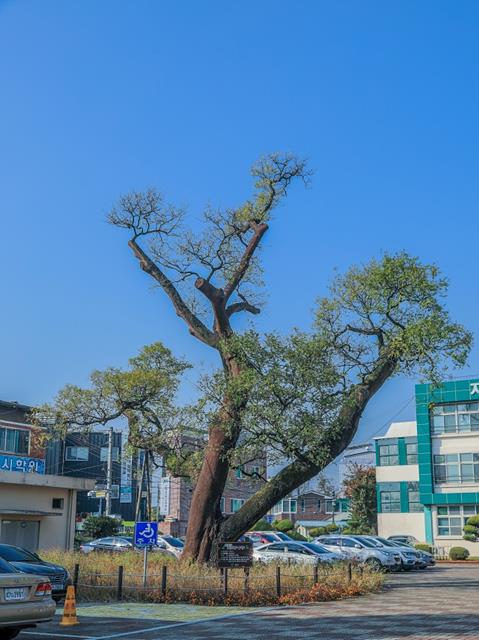 대표시청각 이미지